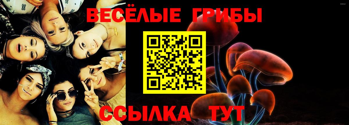 где можно купить наркотик  Вход с VPN  Псилоцибиновые грибы мухоморы  Чернушка  Псилоцибиновые грибы Psilocybine cubensis 